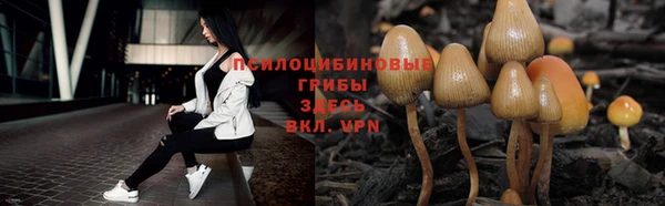 a pvp Аркадак
