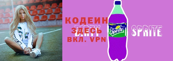 гашик Арсеньев