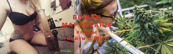a pvp Аркадак