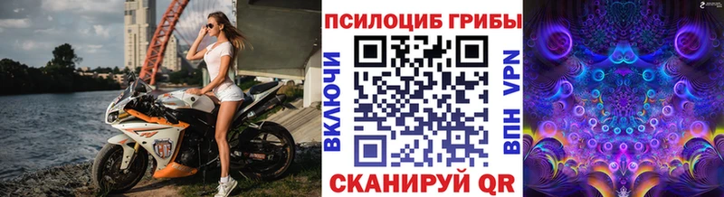 Галлюциногенные грибы MAGIC MUSHROOMS  Купить  Каргополь 