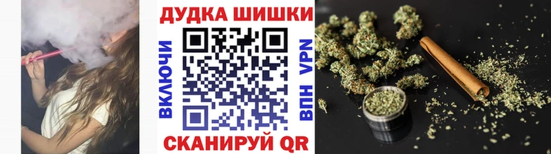 Купить  Каргополь  Каннабис сатива 